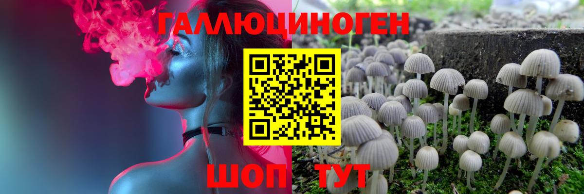 Псилоцибиновые грибы MAGIC MUSHROOMS  Вход с VPN  Миасс  Галлюциногенные грибы прущие грибы 